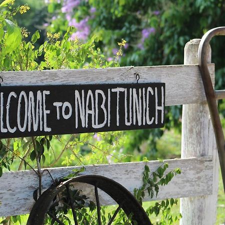 サン・イグナシオ Nabitunichヴィラ エクステリア 写真